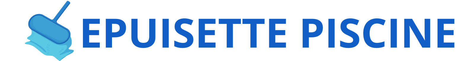 Epuisette Piscine