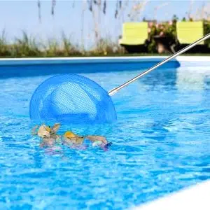 Epuisette Nettoyage Piscine 5