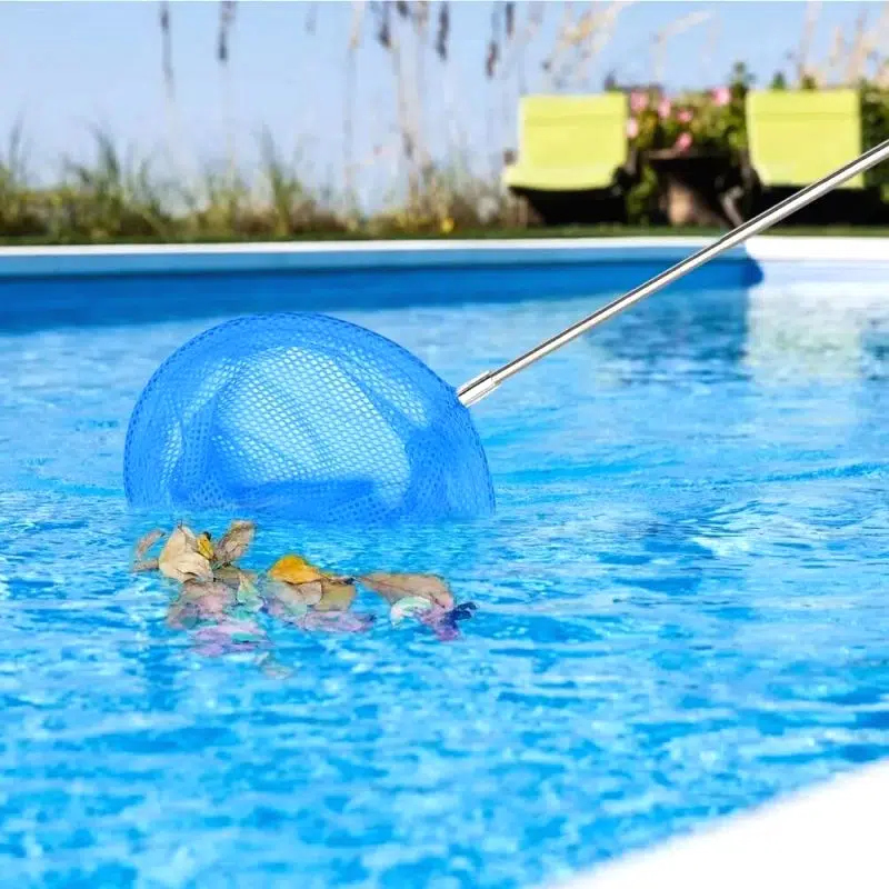 Epuisette Nettoyage Piscine 5